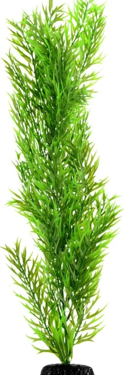 Underwater Treasures Green Bamboo - 24"