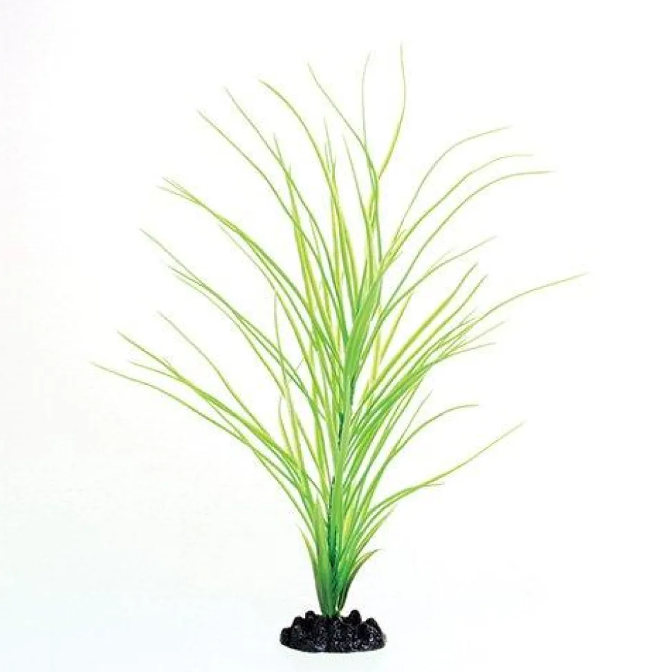 Underwater Treasures Green Hairgrass - 16"