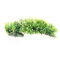 Underwater Treasures Green Bush - 7"