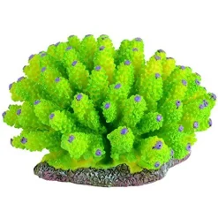 Underwater Treasures Green Tube Coral