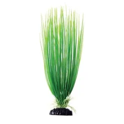 Underwater Treasures Green Hairgrass - 12"