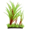 Underwater Treasures Green/Red Grass