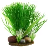 Underwater Treasures Green Bush On Rock