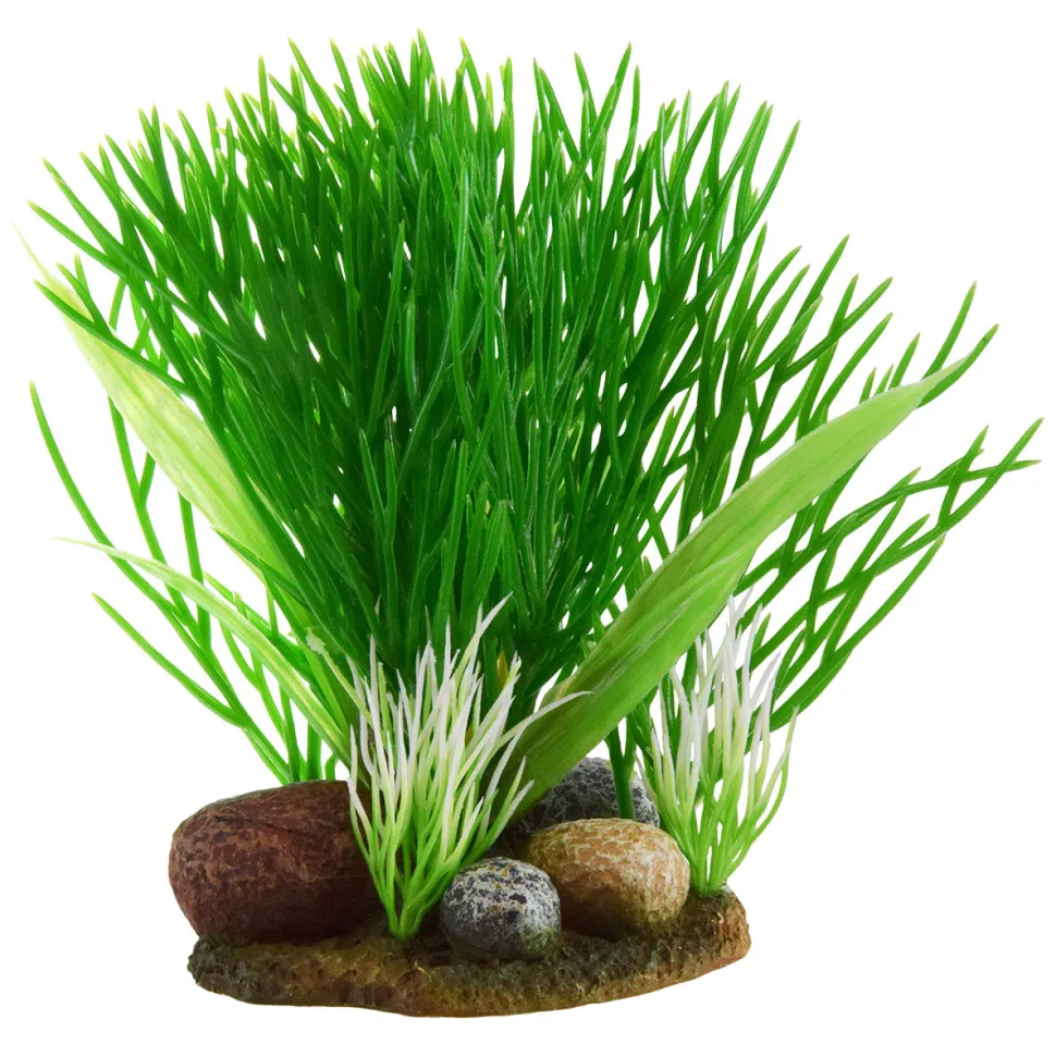 Underwater Treasures Green Bush On Rock