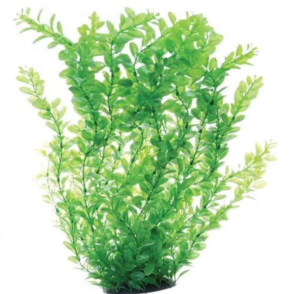 Underwater Treasures Green Cardamine - 24"