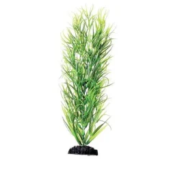 Underwater Treasures Green Diandra - 12"
