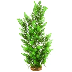 Underwater Treasures Green Tip Kelp - Tall