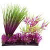 Underwater Treasures Hairgrass Garden Mix