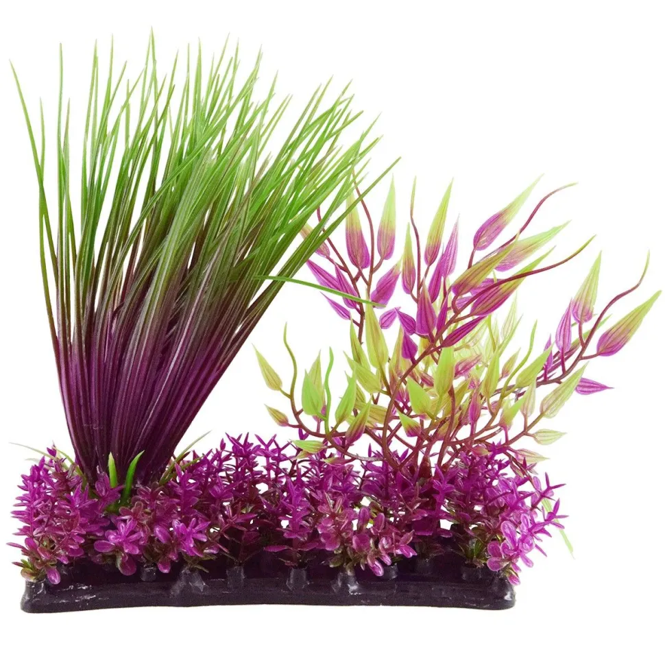 Underwater Treasures Hairgrass Garden Mix