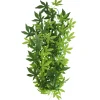 Underwater Treasures Japanese Maple - Green - 24"