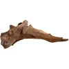 Underwater Treasures Kapas Root - Small - Pack of 20