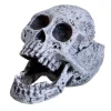 Underwater Treasures Laughing Skull