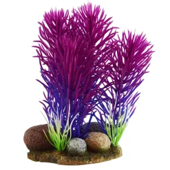 Underwater Treasures Magenta Bush