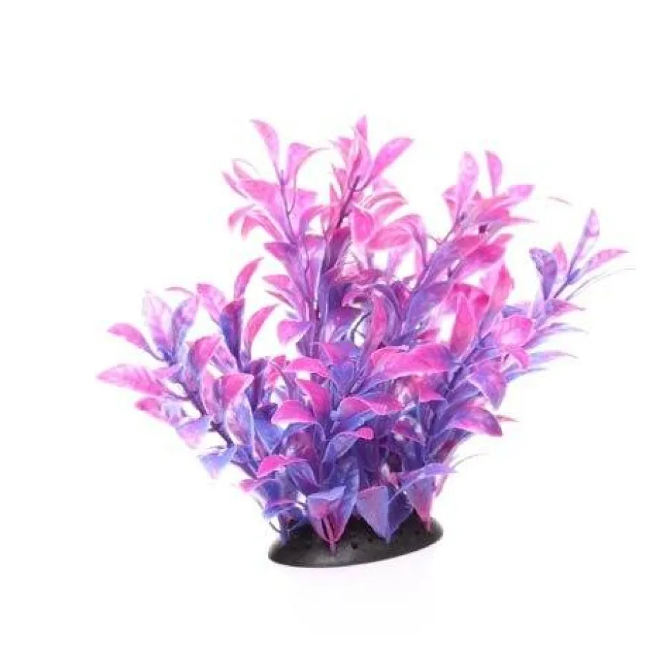 Underwater Treasures Magenta Ludwigia - 6.5"