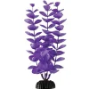 Underwater Treasures Magenta Bacopa - 8"