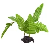 Underwater Treasures Maidenhair Fern