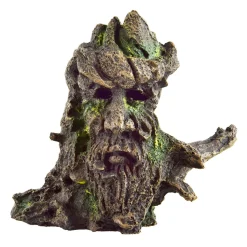 Underwater Treasures Man In Root