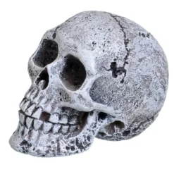 Underwater Treasures Mini Skull