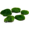 Underwater Treasures Mini Moss Rock - 5 pk