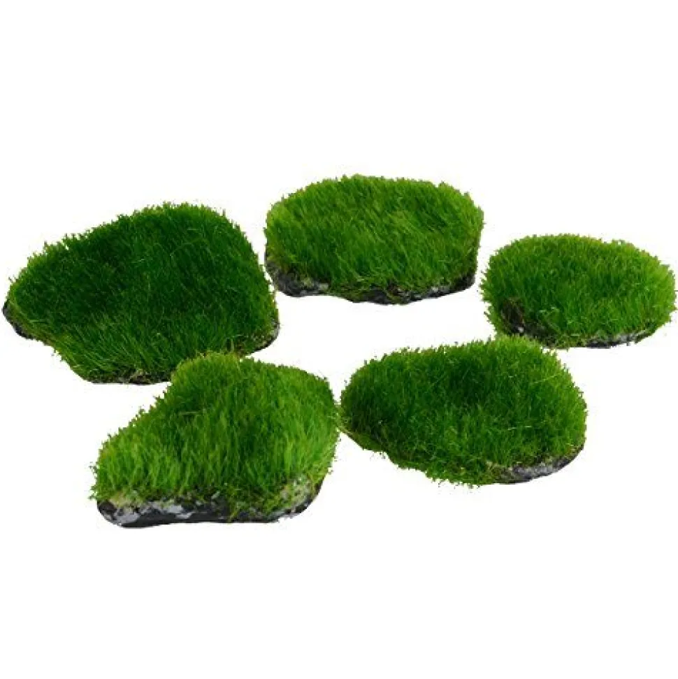 Underwater Treasures Mini Moss Rock - 5 pk