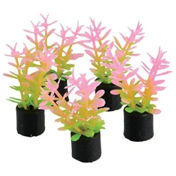 Underwater Treasures Mini Plant - Pink and Green - 1.5" - 5 pk