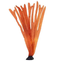 Underwater Treasures Ocean Kelp - Red