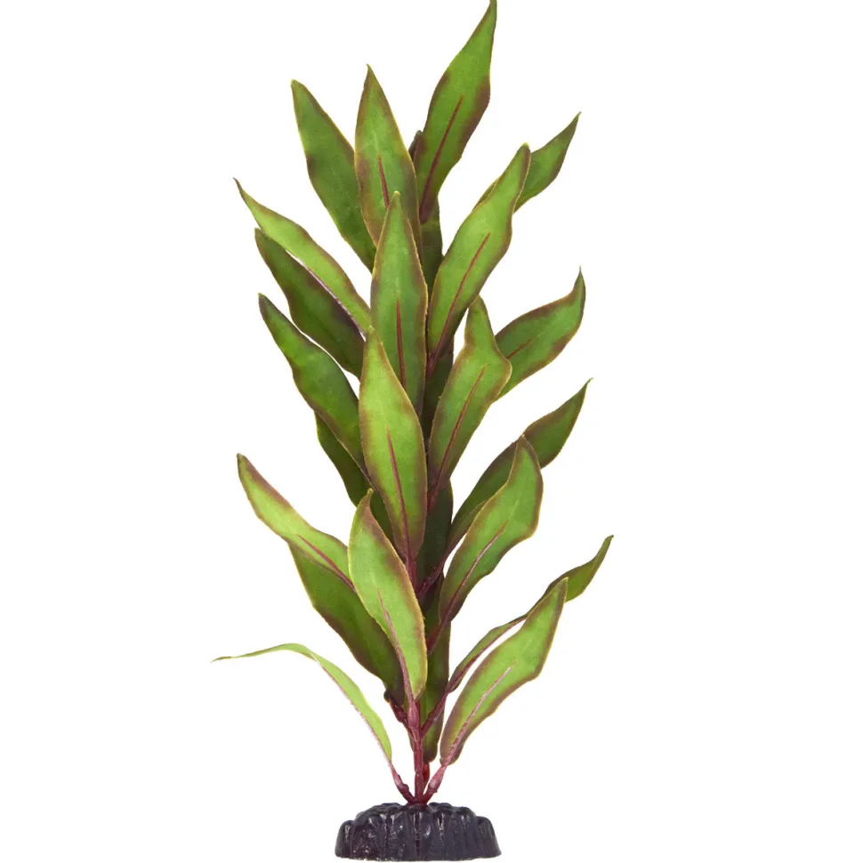 Underwater Treasures Olive Hygro - 12"