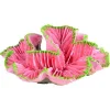 Underwater Treasures Open Brain Coral - Pink - Small
