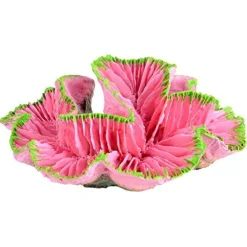 Underwater Treasures Open Brain Coral - Pink - Small