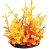 Underwater Treasures Orange Moneywort - 2.5"