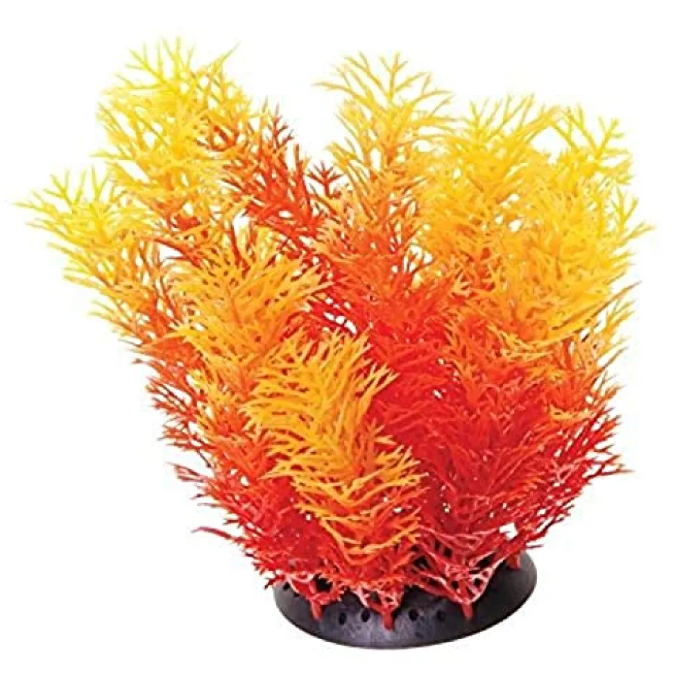 Underwater Treasures Orange Cabomba - 6"