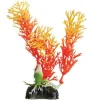 Underwater Treasures Orange Ambulia - 5" - Pack of 6