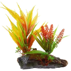Underwater Treasures Orange Fern On Root