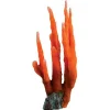 Underwater Treasures Orange Finger Coral