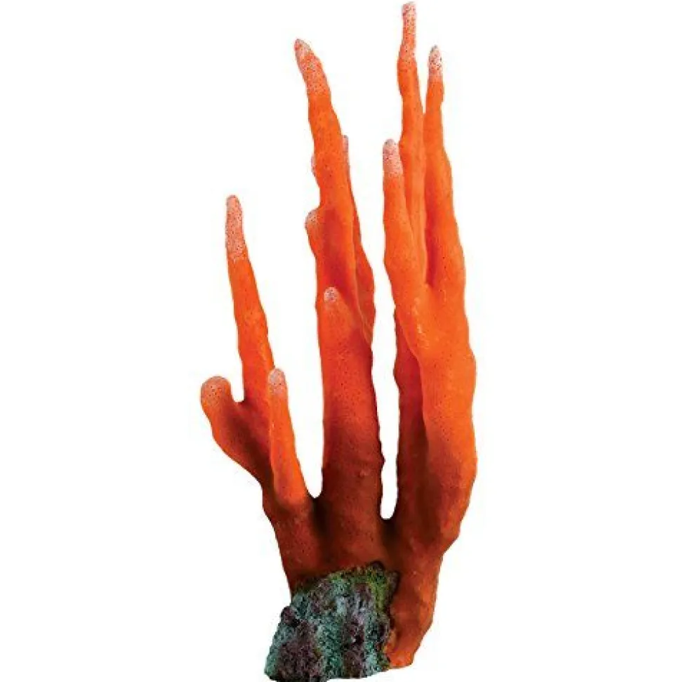 Underwater Treasures Orange Finger Coral
