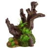 Underwater Treasures Overgrown Stump