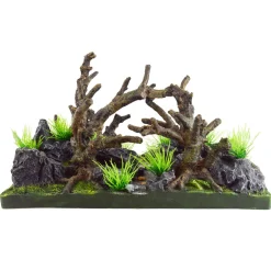 Underwater Treasures Path Landscape