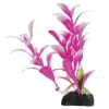 Underwater Treasures Pink Hygro - 4.5" - Pack of 6