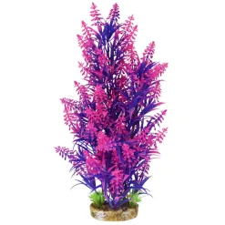 Underwater Treasures Pink Tip Kelp - Tall