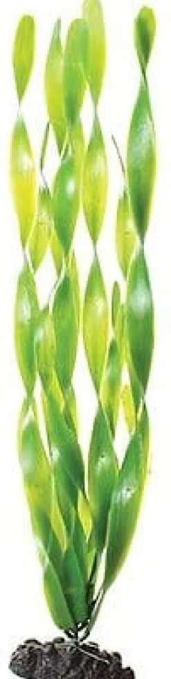 Underwater Treasures Plant Group - C - Tall