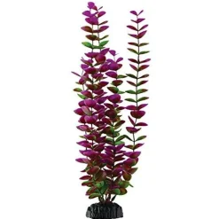 Underwater Treasures Plum Bacopa - 14.5"