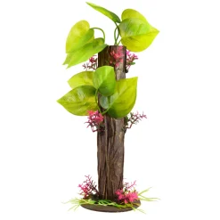Underwater Treasures Pothos Plant Pole