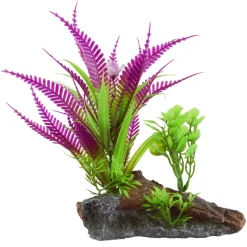 Underwater Treasures Purple Fern On Root