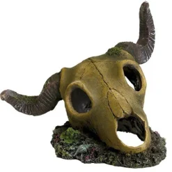 Underwater Treasures Ram Skull
