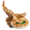 Underwater Treasures Rattlesnake On Log
