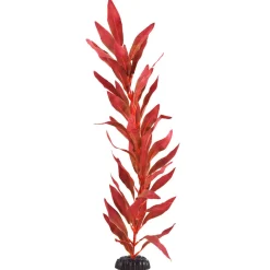 Underwater Treasures Red Hygro - 20"