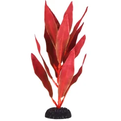 Underwater Treasures Red Hygro - 8"
