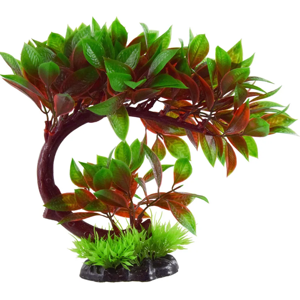 Underwater Treasures Red Ludwigia Bonsai