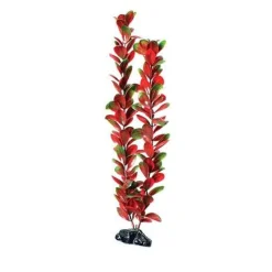 Underwater Treasures Red/Green Bacopa - 20"