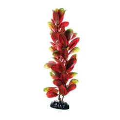 Underwater Treasures Red/Green Bacopa - 12"